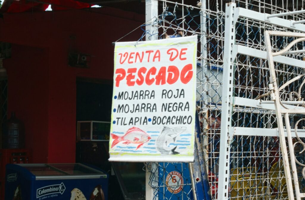 Letrero pintado a mano de venta de pescado con especies del Caribe en Cartagena