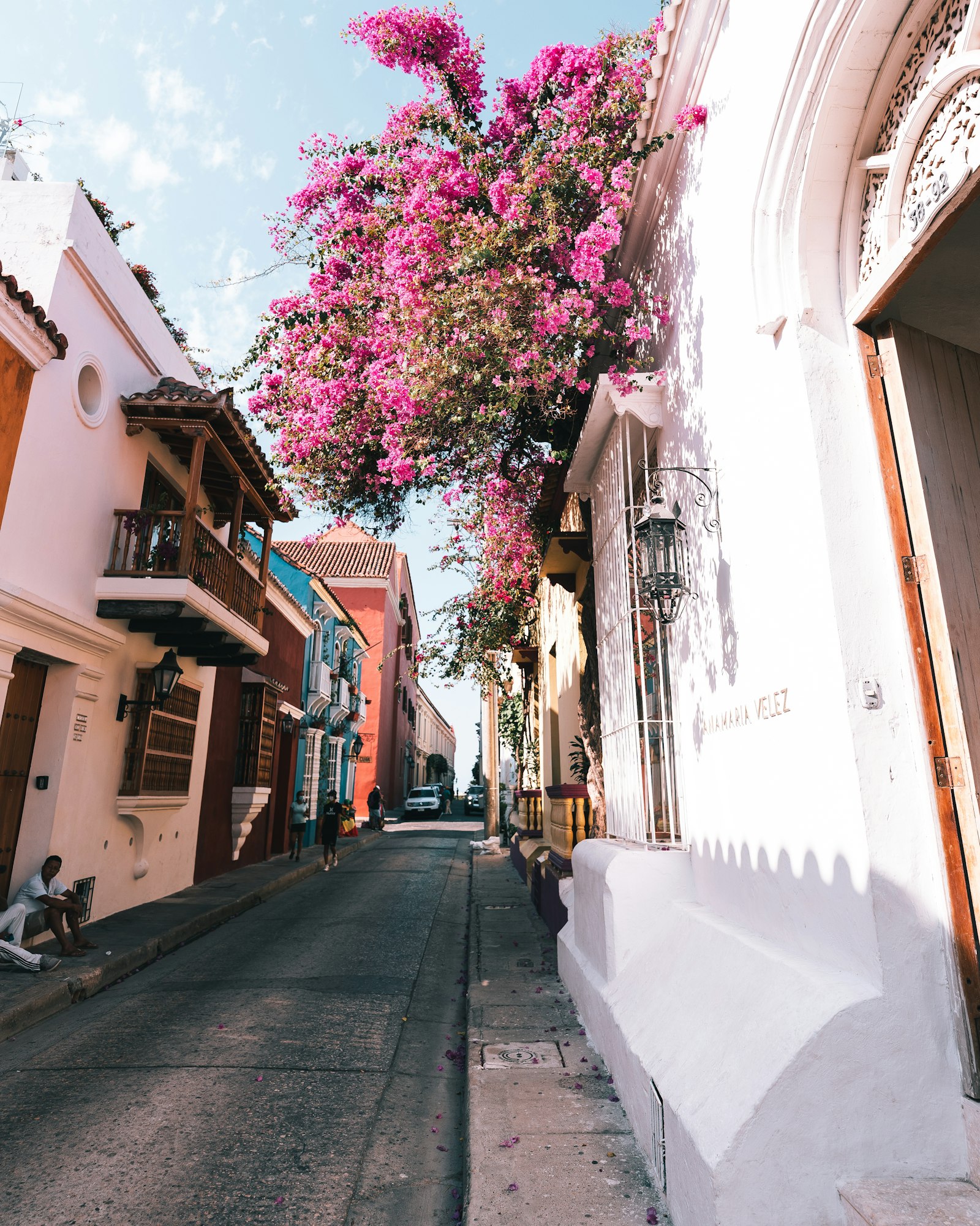 Calle del Centro Histórico de Cartagena con casas coloniales y flores rosadas